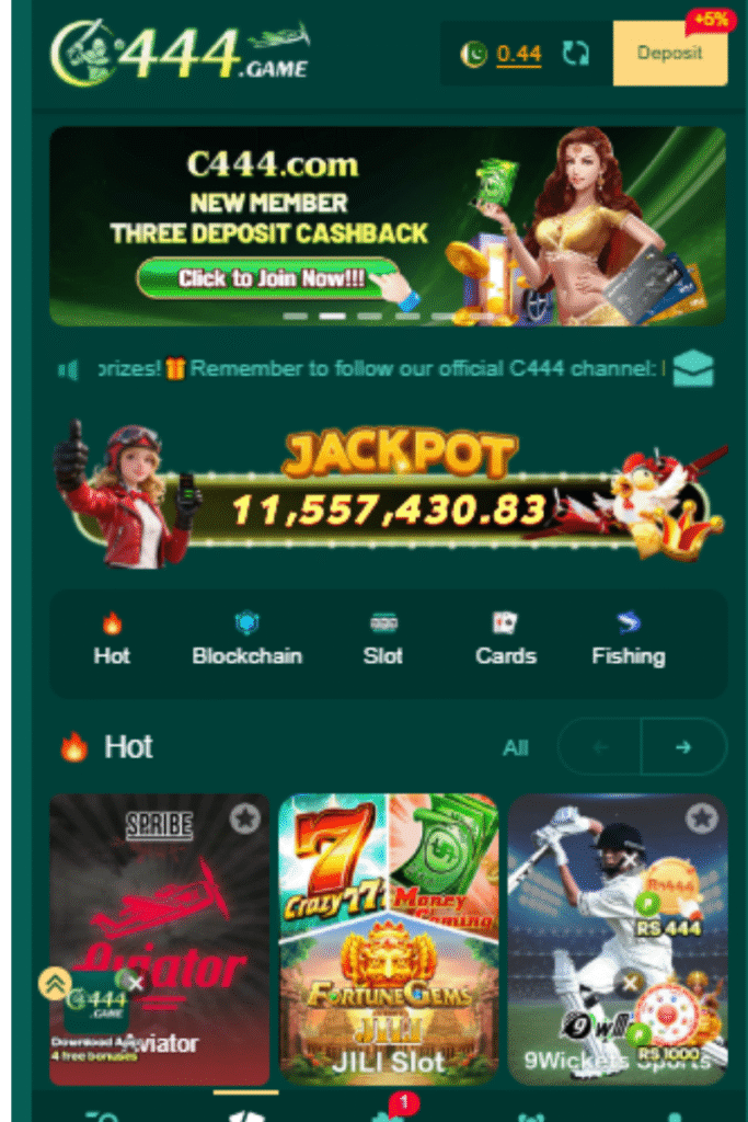 C444 Game 