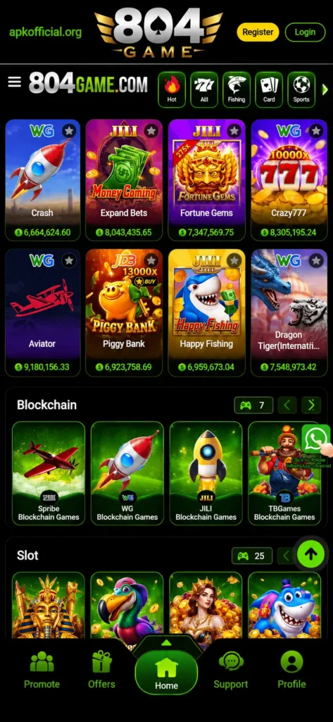Home screen 804 game